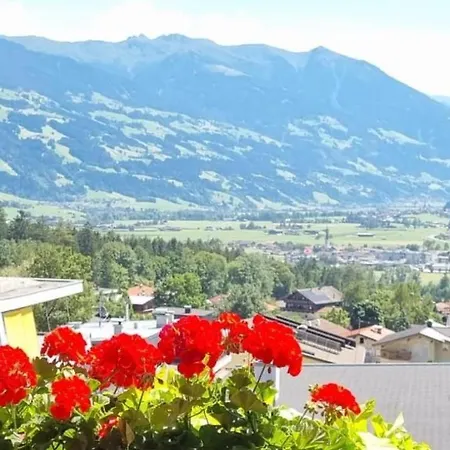 Panorama Wiesing